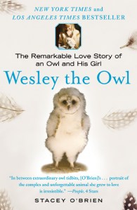WesleyTheOwlCover